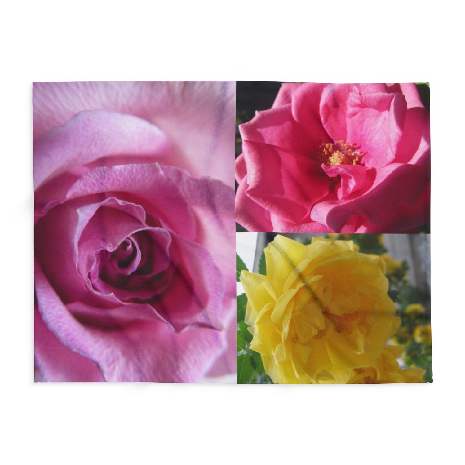 Garden Stories